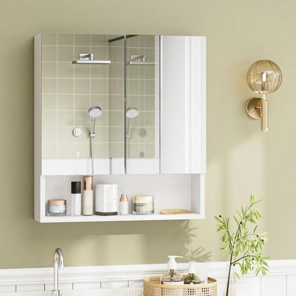 Ivy Bronx Bathroom Cabinet, Wall Mounted Bathroom Mirror with Storage ...